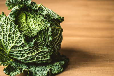 Close-up of cabbage on table