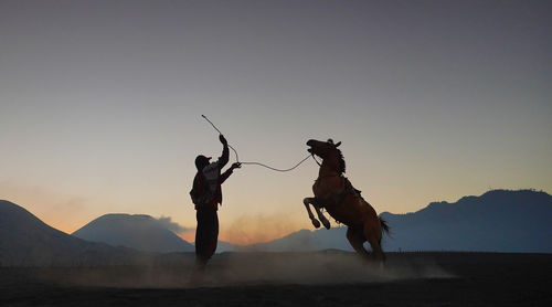 Man playing with horse against sky during sunset