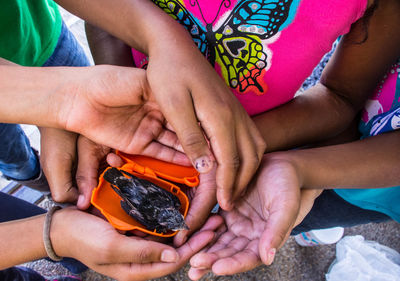 Close-up of baby holding hands