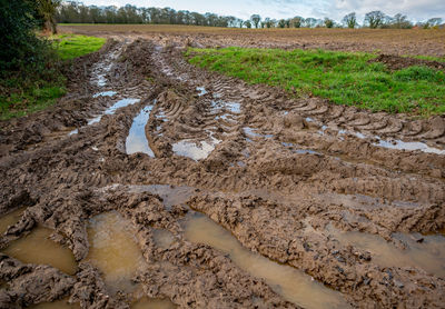 Puddle on field