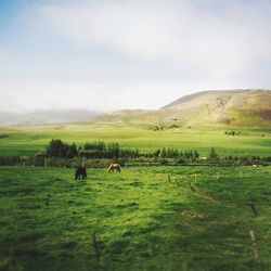 Scenic view of grassy field against cloudy sky