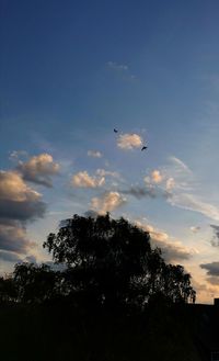 Low angle view of silhouette birds flying against sky