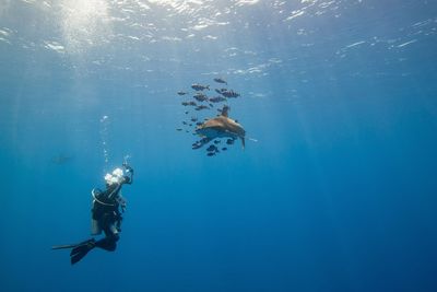 People swimming in sea