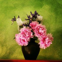 Close-up of pink flowers in vase against green wall