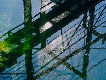 Low angle view of tree against sky