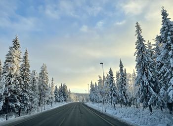 Road amidst trees against sky