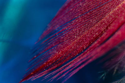 Low angle view of red umbrella against blue sky