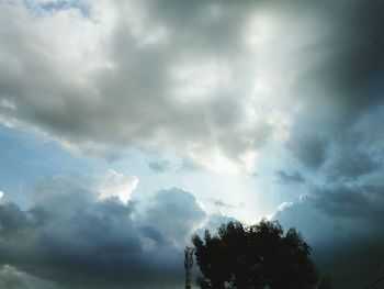 Low angle view of trees against storm clouds