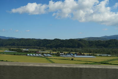 View of horses on field against sky