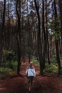 Rear view of woman walking against trees in forest