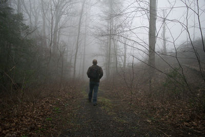 Man walking in forest during foggy weather