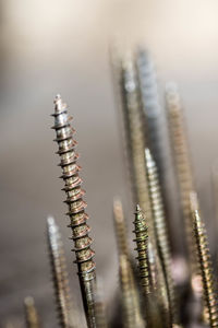 Close-up of screws on table