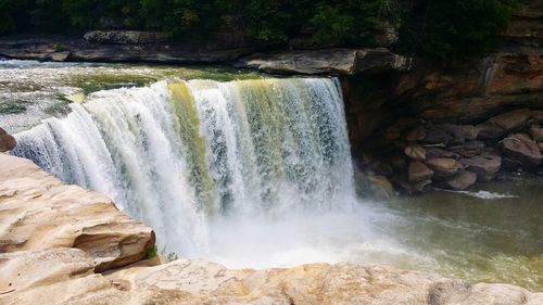 Scenic view of waterfall in forest