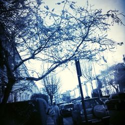 tree