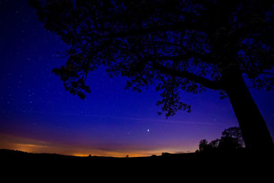 Low angle view of silhouette trees against blue sky at night