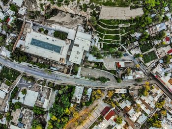 High angle view of trees and buildings in city