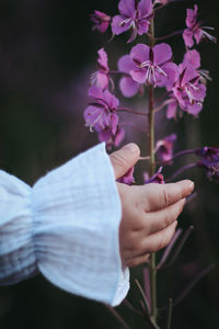 Midsection of woman holding flower