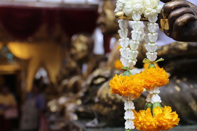 Close-up of flowering plants at market stall