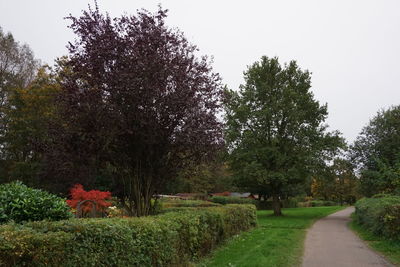 View of trees on landscape against clear sky