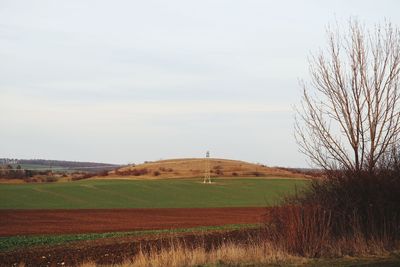 Scenic view of field against sky