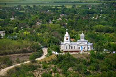Trees growing outside temple on building