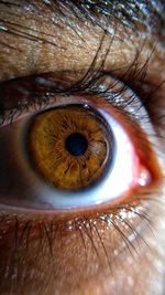 Extreme close-up of human eye