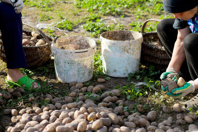 High angle view of man preparing food at market