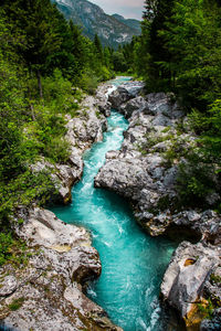 Emerald soca river in soca valley, slovenia, europe.