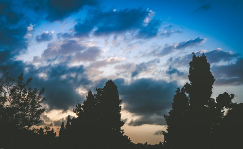 Low angle view of silhouette trees against sky