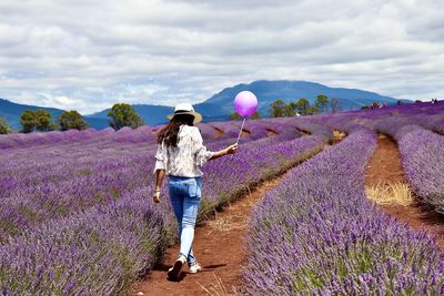  walking on lavender field 