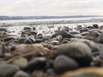 Surface level of pebbles at beach against sky