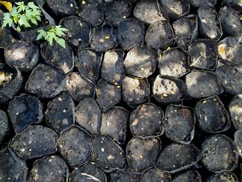 Full frame shot of stones