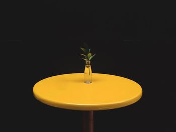 Plant in glass bottle on yellow table against black background