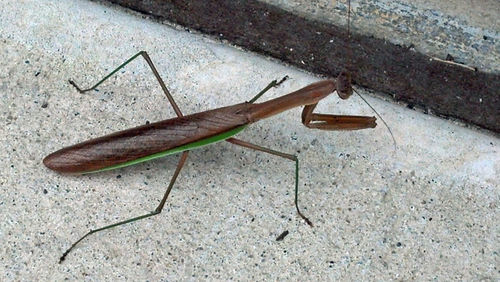 High angle view of footpath