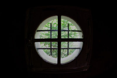 Close-up of window