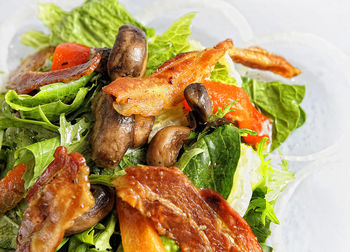 Close-up of meal served in plate