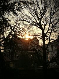 Silhouette tree against sky during sunset