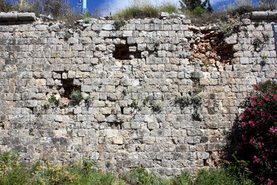 Close-up of stone wall
