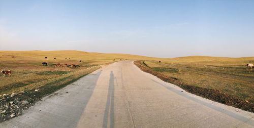 Empty road amidst field against sky