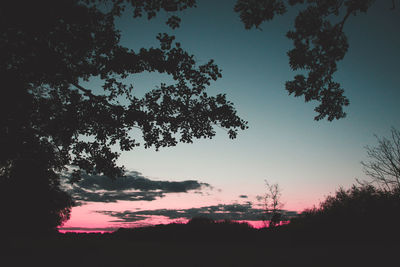 Silhouette trees on field against sky at sunset