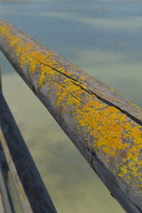 Close-up of yellow railing against sea