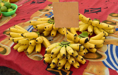 Background stone trim the leaves to a cause.