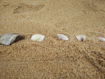 Close-up of sand on beach