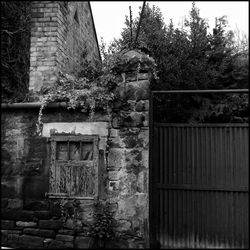 Closed door of house