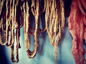 Close-up of clothes hanging on rope