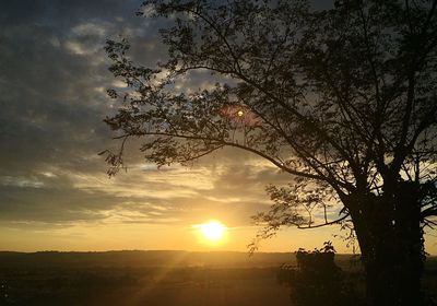 Silhouette tree against sky during sunset