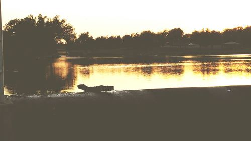 Silhouette swan swimming on lake against sky during sunset