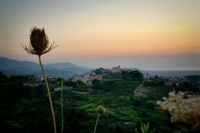 Scenic view of landscape against sky at sunset