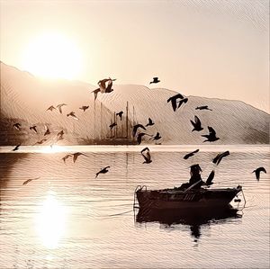 Birds flying in the sky