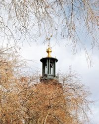 Low angle view of bird on tree against sky